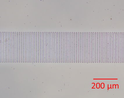 Periodically poled domains revealed by HF etching